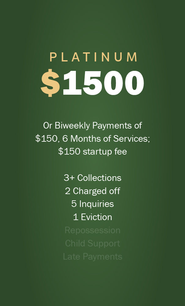Platinum Credit Repair Package